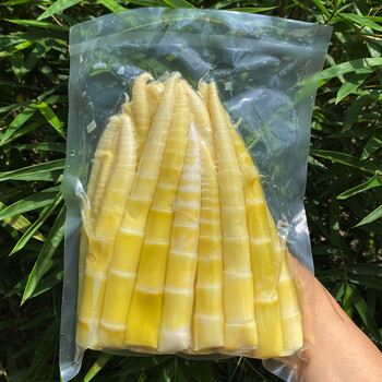 竹笋新鲜嫩笋尖小竹笋江西农家小野笋春笋火锅笋罗汉笋尖商用笋子