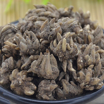 野外生新鲜猫爪草干货水洗猫爪草药材猫抓草猫瓜草散结淋巴500克