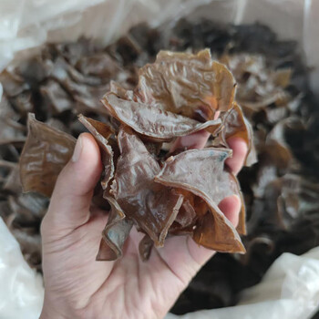 福建农产品干货农家自制福建土特产橡子豆腐糕500g