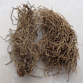 中药材 四块瓦 剪草 四叶对 四对草 银线草 四叶细辛万根丹灯笼花