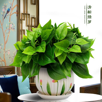 仿真绿萝绿植套装塑料植物家居室内客厅茶几绿叶盆栽阳台装饰品 大盆