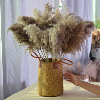 黄色花篮大号 水生芦苇25支 需暴晒插花泥搭配