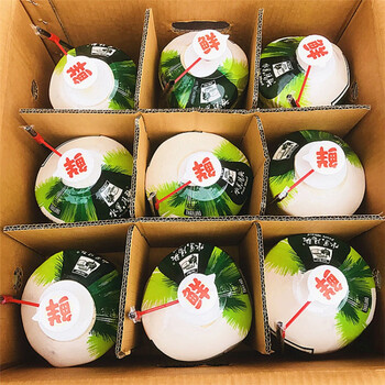 椰青易开椰青原箱大果新鲜水果当季椰子香椰香水椰青精装自带开孔2个