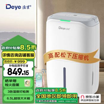 德业（Deye）除湿机/抽湿机 除湿量20升/天 家用轻音干燥地下室吸湿器app智控 DYD-W20A3