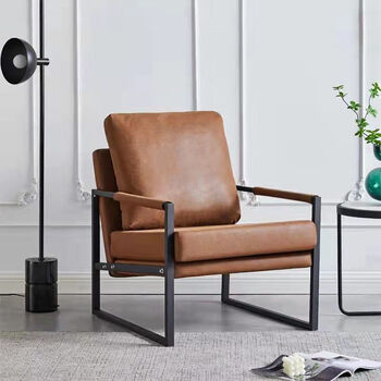 单人懒人沙发铁艺休闲椅子阳台卧室客厅沙发椅老虎椅 棕色【防水科技