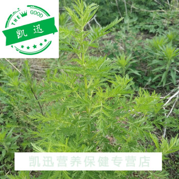 享元旦價野新鮮青蒿草苦蒿黃蒿中材香下新貨幹黃花銅臭蒿子泡澡