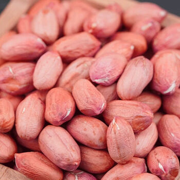 鲁花生花生米1斤3斤5斤大颗粒花生米当季无壳花生米农民鲁花花生米3斤