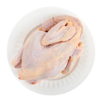 清真三黄鸡 正宗白条鸡 土鸡农家散养 野外走地鸡 笨鸡月子鸡 谷物