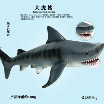 oenux鲨鱼玩具大号虎鲨海洋生物动物儿童仿真模型空心大虎鲨