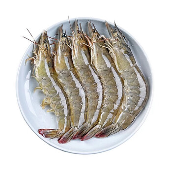 海蕴极鲜海蕴极鲜 白虾 海白虾鲜活 新鲜明虾大虾