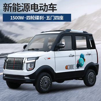 小米石两用新能源老人轿车四轮电动车家用电动汽车新能源女士老头乐油