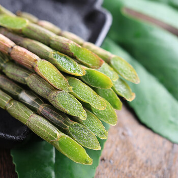 霍山新鲜铁皮石斛鲜条500g翠绿色500g