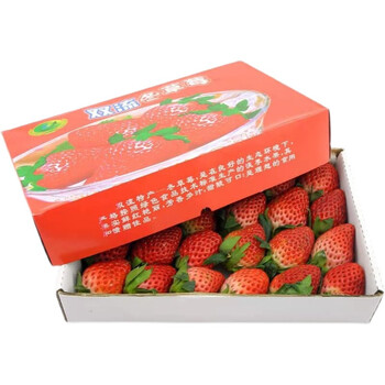 蛋糕奶茶双流冬酸草莓时令水果同城 1120g 28颗/盒 四盒装奶茶专用