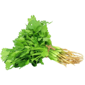 香菜新鲜农家香菜蔬菜露地菜火锅菜调味菜 2斤 香菜