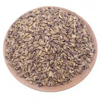 新货水飞蓟籽水飞蓟水飞蓟种子 奶蓟种子水飞蓟500克 1kg