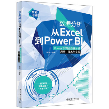 数据分析从Excel到Power BI：Power BI商业数据分析思维、技术与实践