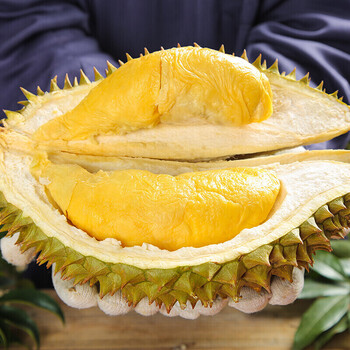 橙伯乐巴掌小榴莲新鲜带壳水果榴莲金枕头榴莲软糯香甜整箱公司团建