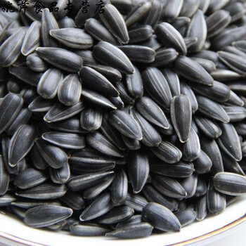 5折黑瓜子小粒葵花籽黑珍珠黑油葵小瓜子现炒原味生熟多口味可选现炒