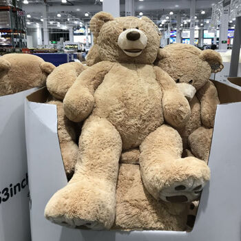 新升级costco熊上海costco开市客国内代购plush 坐姿绒毛玩具熊135