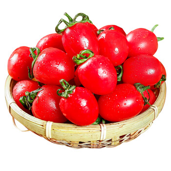 圣女果红番茄 西红柿新鲜自然熟孕妇可生吃蔬菜水果小番茄 【】优选3