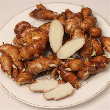 轻恋广东茂名沙姜5斤新鲜生姜沙姜当季蔬菜生姜食用姜整箱 2500g