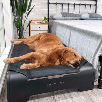 hoopet狗窝四季通用中型大型犬室内宠物垫子耐咬行军床狗狗沙发床柴犬