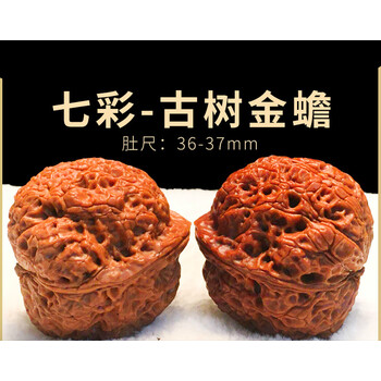 云南铁核桃蛤蟆头金蟾野生文玩核桃一对手盘收藏手把件山 袖红色七彩