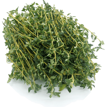 百里香迷迭香新鲜食用煎牛排用调味调料西餐食材装饰烧烤香料 现摘现