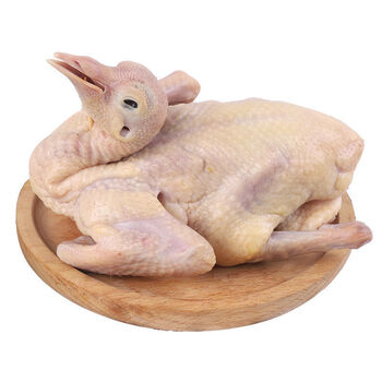 生鲜鸽子肉新鲜乳鸽3只农家散养现杀现发2只单只福茹洲乳鸽8两2只