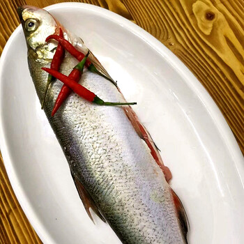 湖北特产新鲜大白刁翘嘴鱼白鱼新鲜鱼鲜活现杀现发一条1.5斤