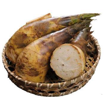 春光岛新鲜马蹄笋绿竹笋现挖带壳鲜笋春夏笋尖甜油焖笋笋4斤装 4斤