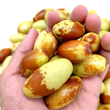 山西子弹头枣马牙枣脆甜冬枣新鲜孕妇水果红枣现摘现发鸡心枣 3斤