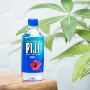 斐济FIJI天然矿泉水 斐济群岛原装进口天然水 330mL 36瓶 中文版