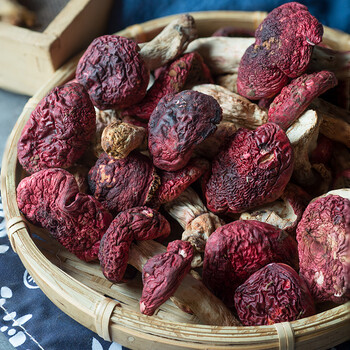 红菇干货云南红蘑菇红椎菇菌三明红菌100g