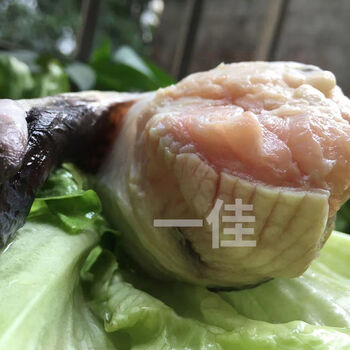 新鲜鳄鱼鞭 整根 现杀鳄鱼 人工养殖鳄鱼 新鲜肉类 5条鳄鱼鞭