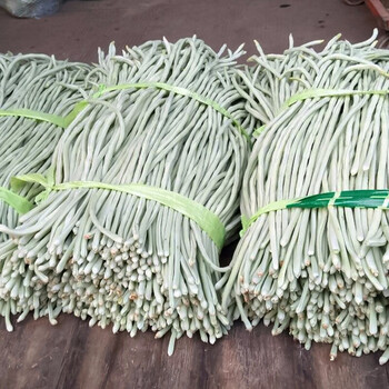 【银白豇豆】大白龙白豇豆种子50g