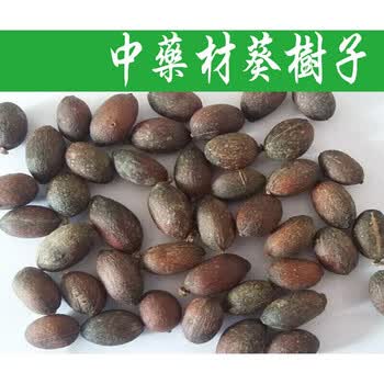 中药材葵树子葵树籽葵扇子葵扇籽蒲葵籽蒲葵子500g