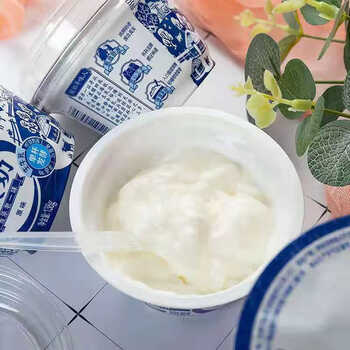 伊利老酸奶生牛乳单杯发酵138g12杯风味发酵乳儿童牛奶整箱批伊利老