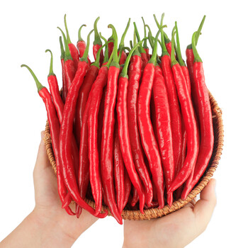 红辣椒二荆条现摘新鲜中长辣椒细长线椒2斤