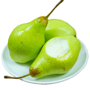 东北茄梨 软糯大头梨香蕉梨太婆梨啤梨 新鲜水果 5斤