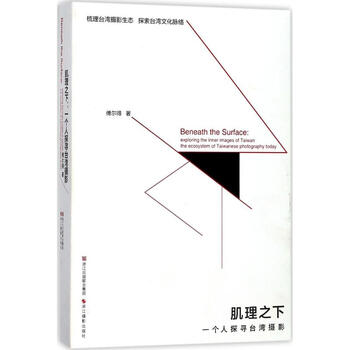 肌理之下 傅尔得  书籍