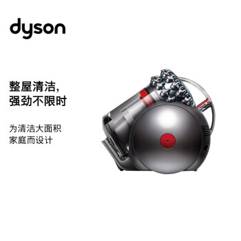 ɭ(Dyson)CY22 cinetic big ballԲͲ ǿ ͥ