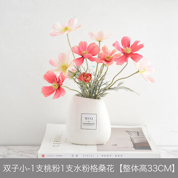 仿真花假草植物盆景多肉小盆栽摆件家居客厅茶几室内摆设绿植ins 双子小 1支水粉1支桃粉格桑花 短 图片价格品牌报价 京东