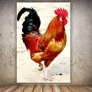 大公鸡海报制作动物画报鸡年画儿童早教海报挂画墙贴壁画定做 大公鸡