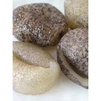 年货节珍珠球参球参干货印尼进口淡干珍珠球参乌圆参18头500g1820只1