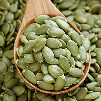 2021新货生南瓜子中大片2斤5斤内蒙古特产带壳南瓜籽非熟炒货原料无壳