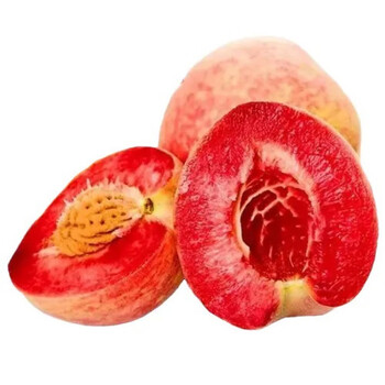 血桃脆甜胭脂红桃子新鲜水果离核血桃子朱砂红血桃 【预售预计6月10号