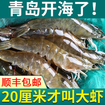鲜活新款中国大陆国产海鲜冷冻虾仁青岛大虾整箱海虾青虾对虾白虾1500
