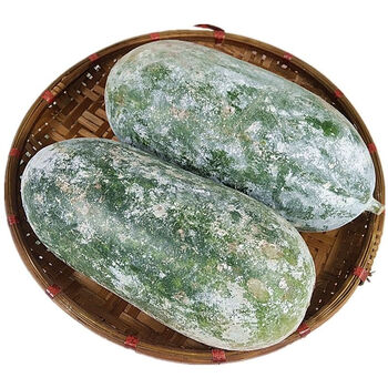 【批发小香冬瓜】河南香冬瓜翠玉冬瓜新鲜蔬菜农家非云南西双版纳 水