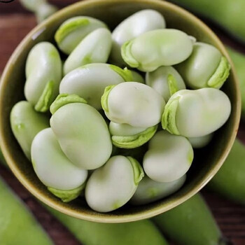柘城助农馆新鲜生蚕豆带壳现摘批发农家胡豆夹云南特产促销1斤装泡沫